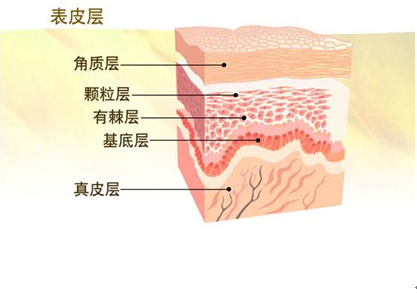 QQ截图20150818140754.png
