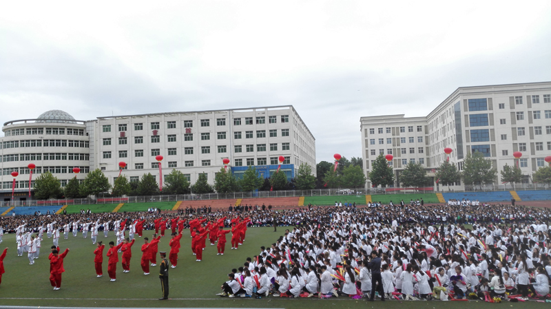 800-2.jpg